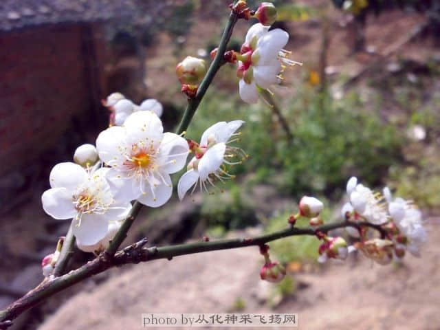 20090104_7d0b5388e96dd5a589cdr2cQ62KuSfm5_jpg_thumb.jpg