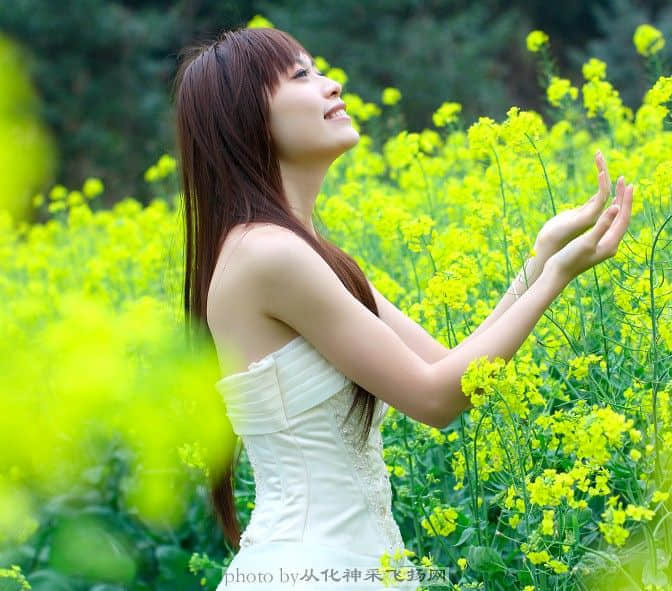 砂糖2.jpg