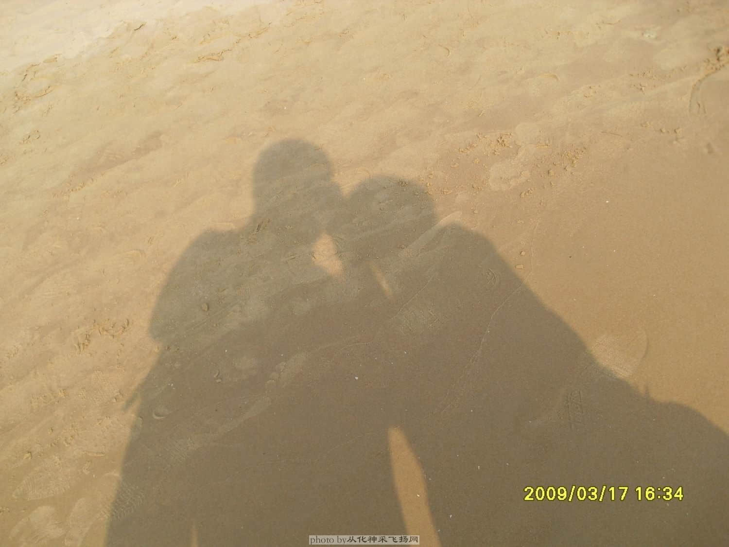 SDC12228.JPG