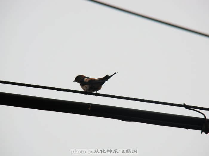 DSC01304.jpg