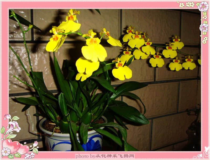 DSC00037.JPG