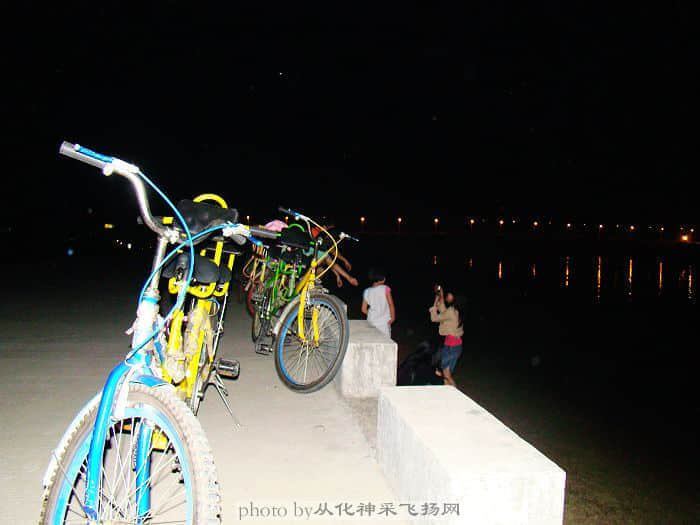 DSC01375.jpg