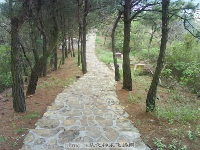 DSC00145.JPG