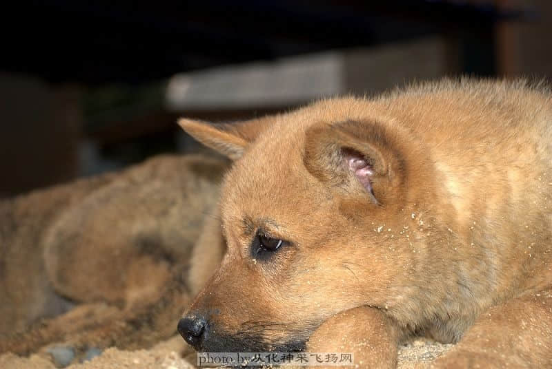DSC_3519.jpg