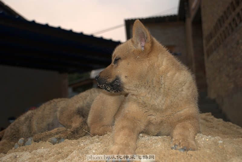 DSC_3518.jpg