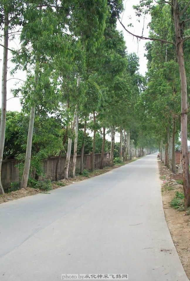 返扯噶路