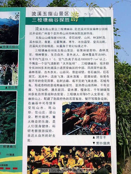 200906061598.jpg
