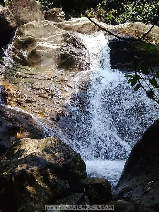 200906061632.jpg