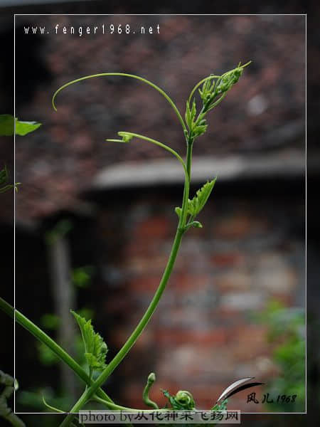 DSC_0055.jpg