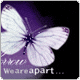 15204842.gif