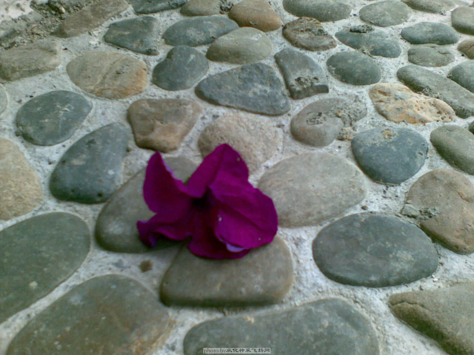 20090501(017).jpg