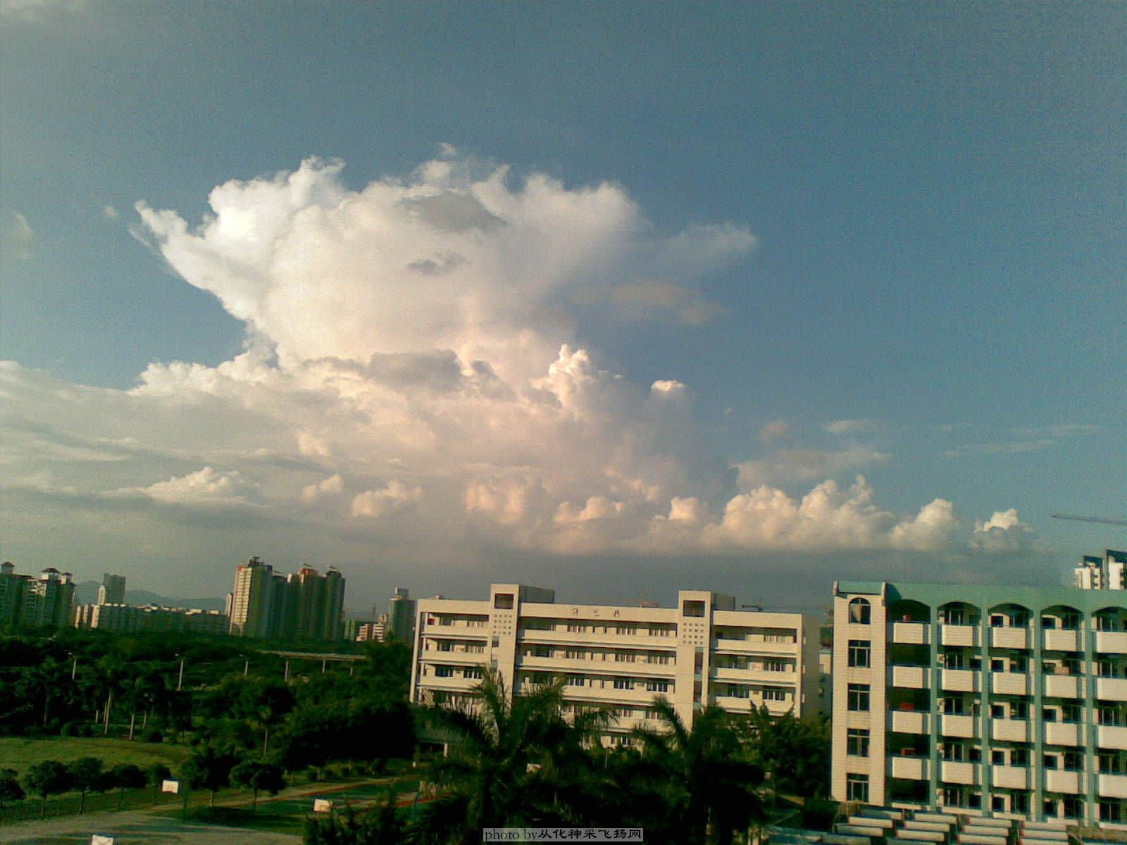 20090712.jpg