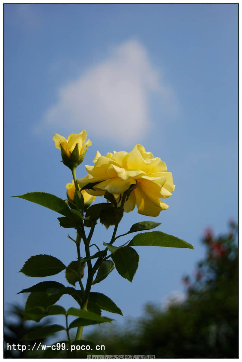 nEO_IMG_DSC_0425副本.jpg
