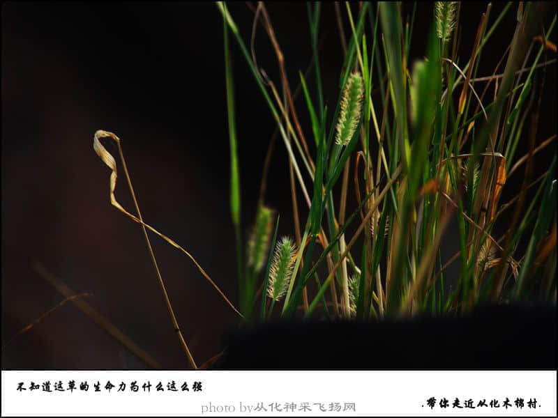 未标题-14.jpg