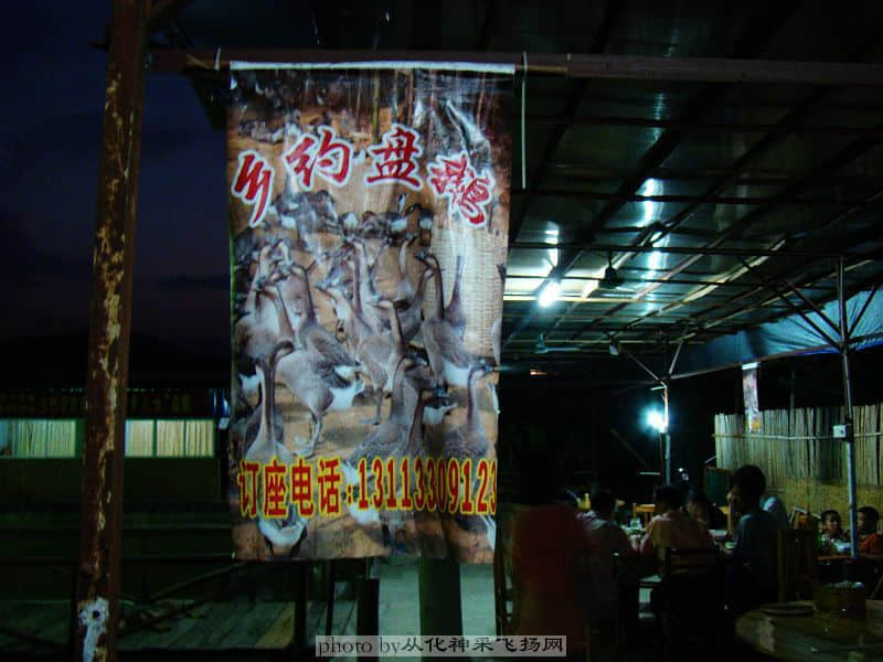 DSC08644.jpg