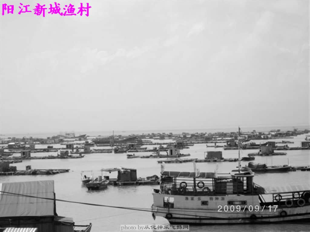 阳江新城渔村1.JPG