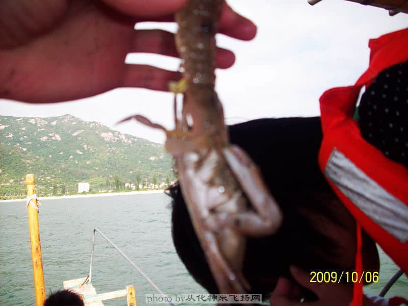 100_2298.jpg