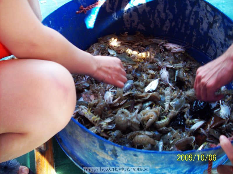 100_2300.jpg