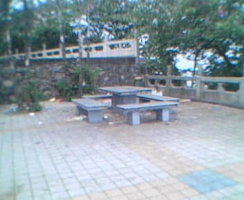 IMG0081A.jpg