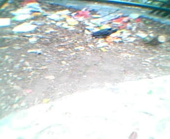IMG0082A.jpg