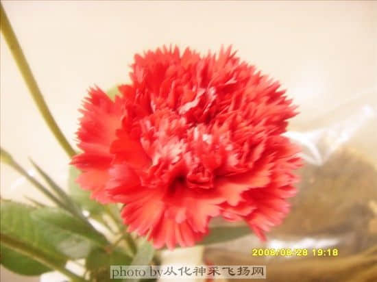 SDC12061_副本.jpg