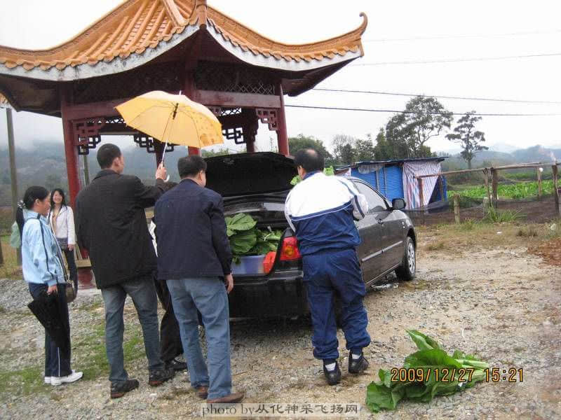 满载而归