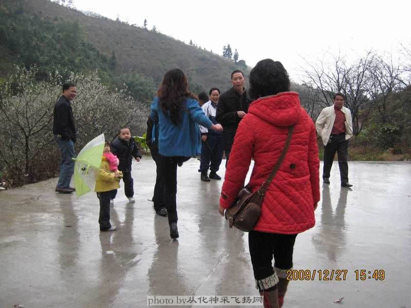 美女复仇记