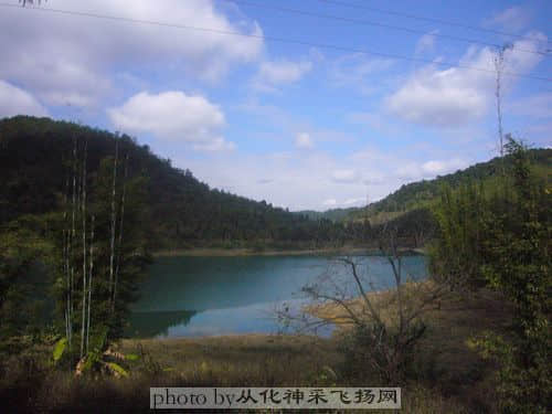 P1110685.JPG