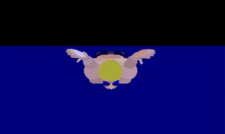 蝶泳 1.gif