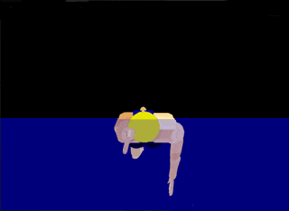 仰泳3.gif