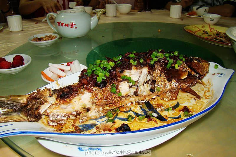 DSC02420.jpg