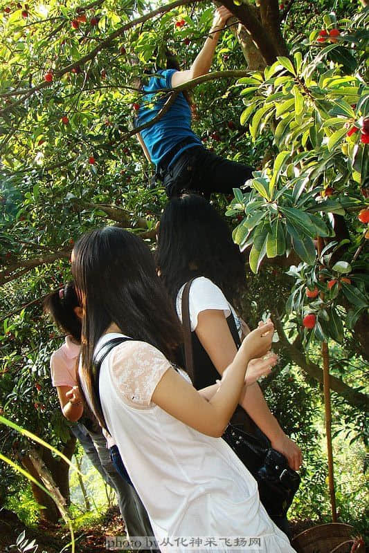 DSC02335.jpg