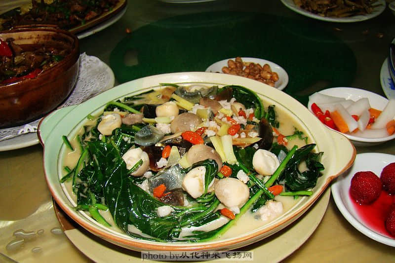 DSC02431.jpg