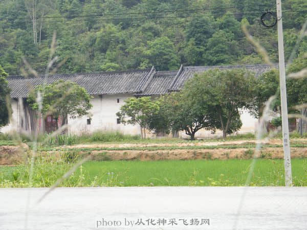DSCF1242.jpg