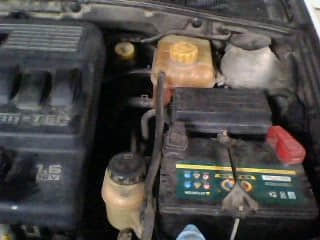 IMG0141A.jpg