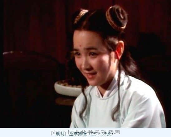 镇元大仙的一个童子,出现在《人参果》一集中.jpg