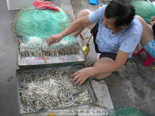 白发苍苍的老奶奶