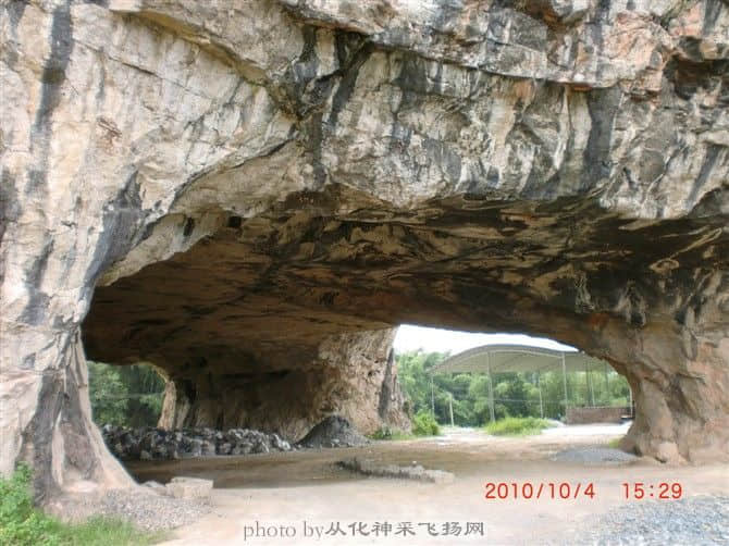 225.jpg