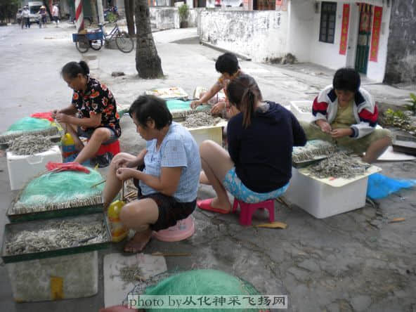 沙扒湾 038.jpg