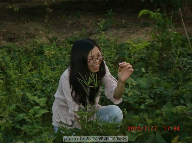 现实版农场，偷番薯