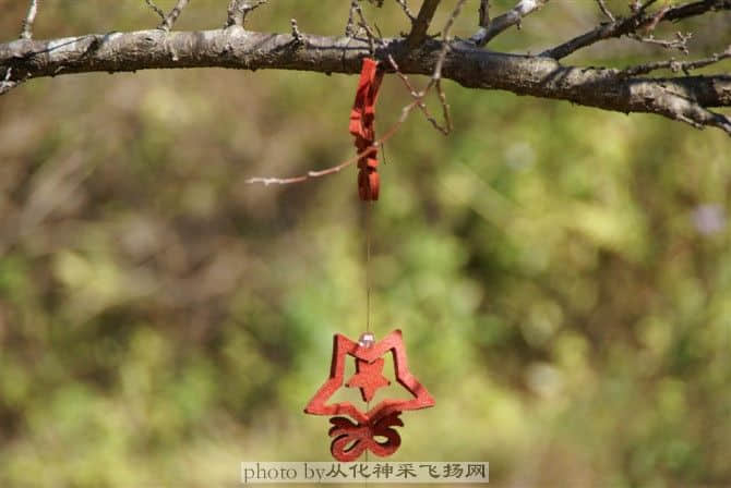 42.jpg