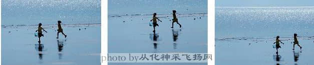 网问2.jpg