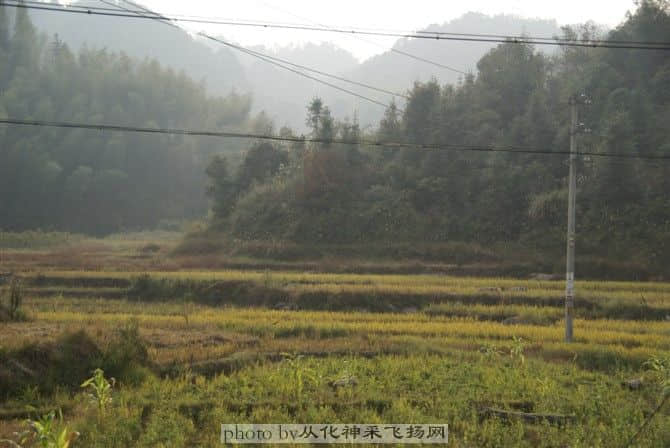 94.jpg