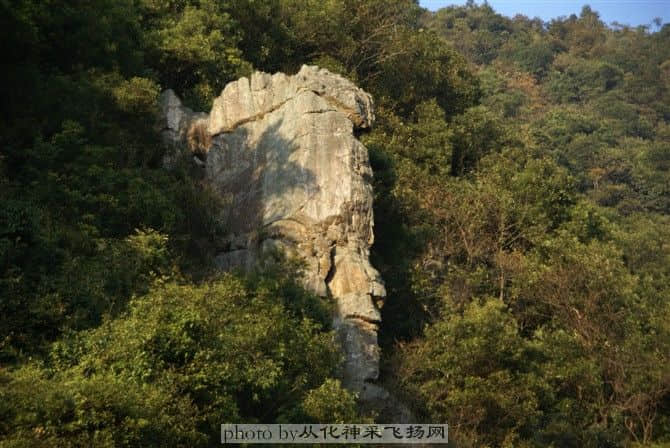 你们看像不像人头