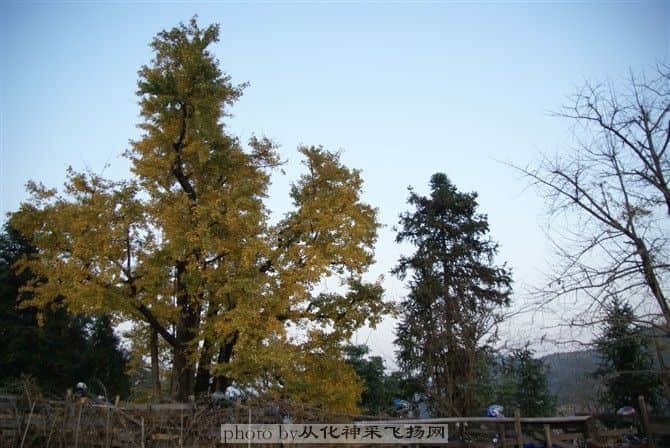 46.jpg
