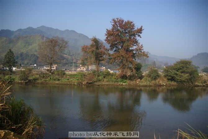 89.jpg