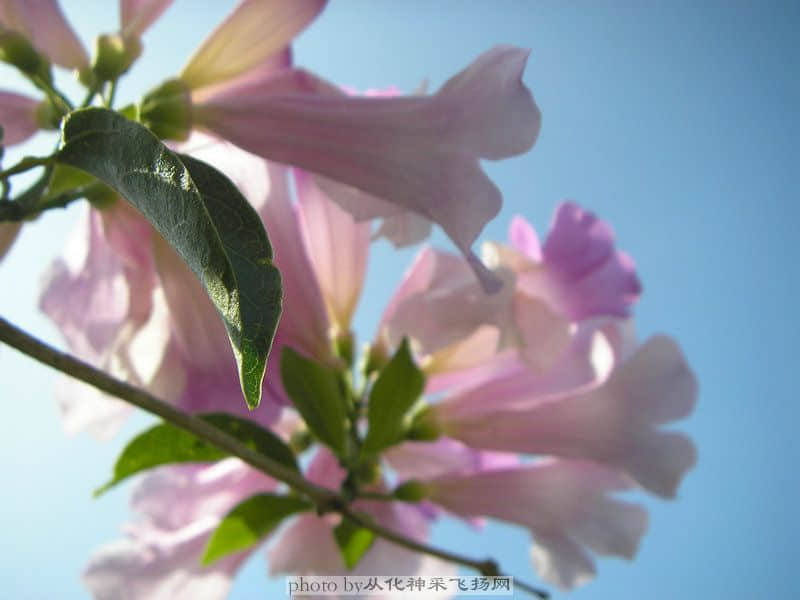 PA025506.JPG