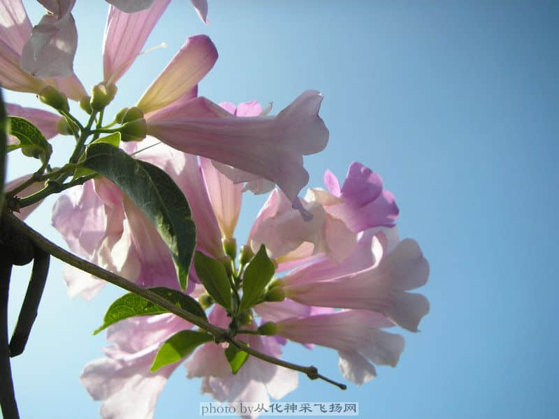 PA025507.JPG