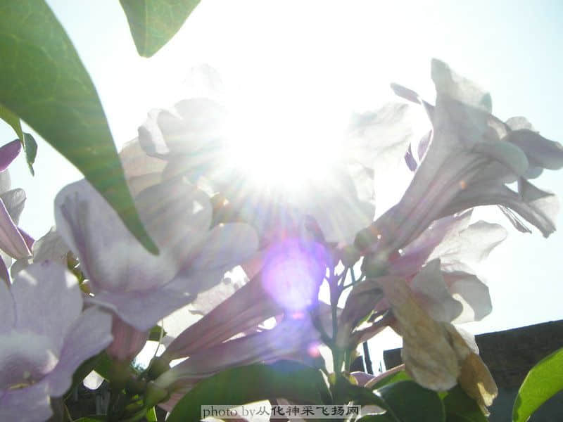 PA025505.JPG