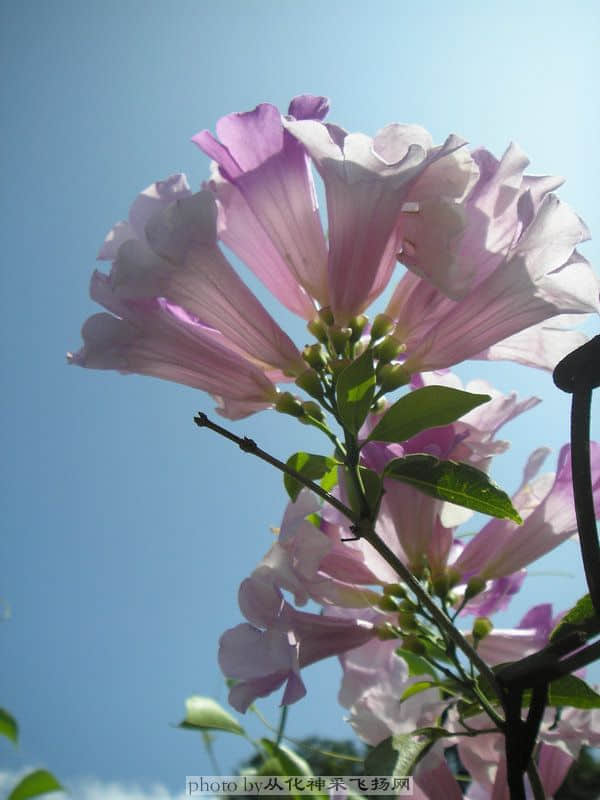 PA025503.JPG